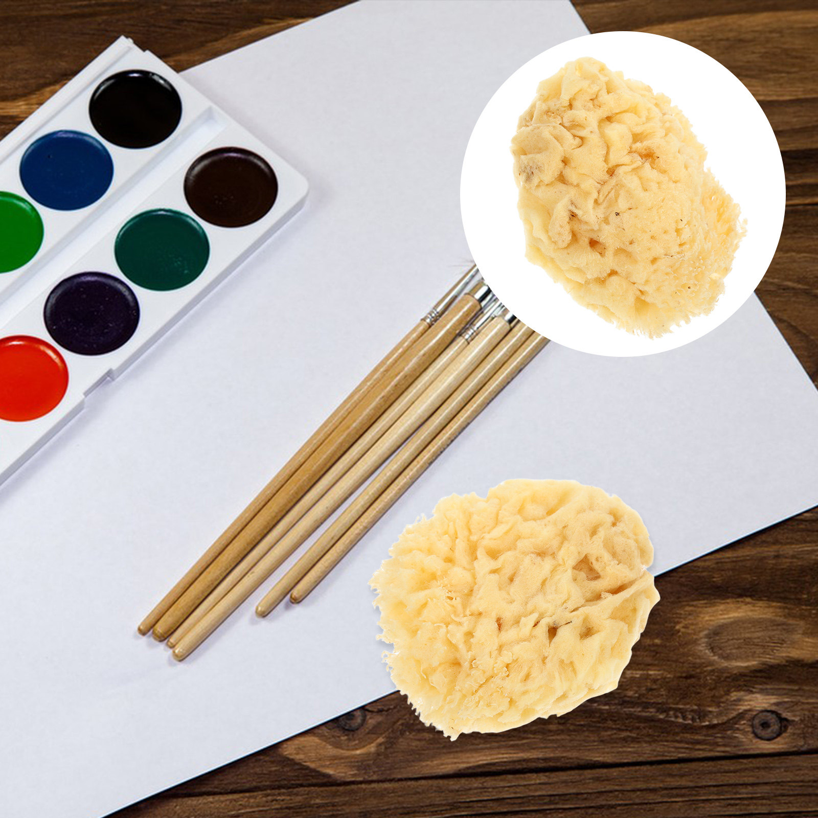 Art Craft Easy - Natural Sea Sponge Soft 2.0-2.5 Inch