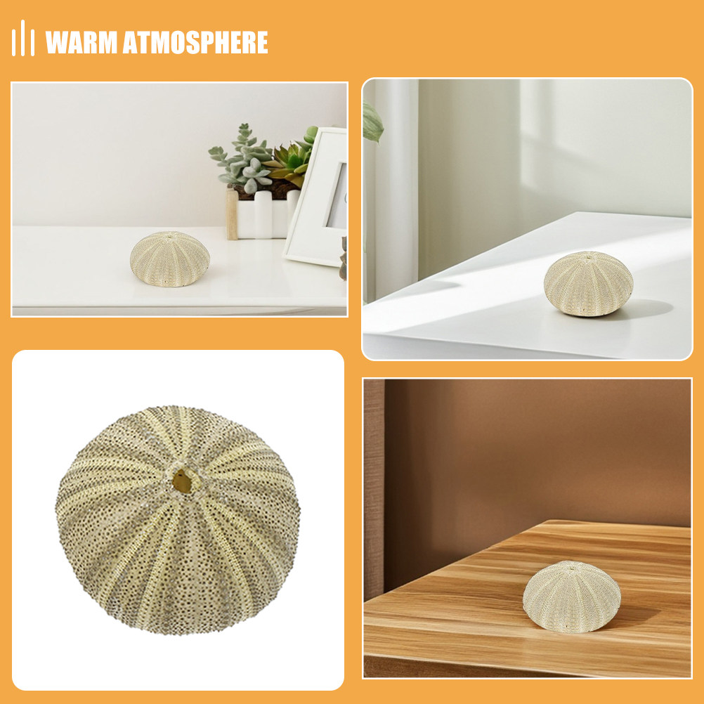 18Pcs Urchin Shells Vase Fille - огляд і ціна Art Craft Project