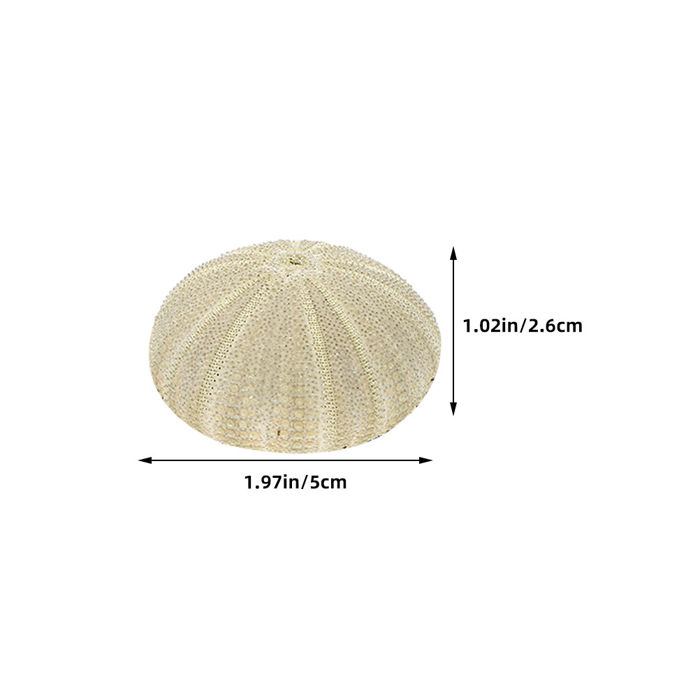 18Pcs Urchin Shells Vase Fille - огляд і ціна Art Craft Project