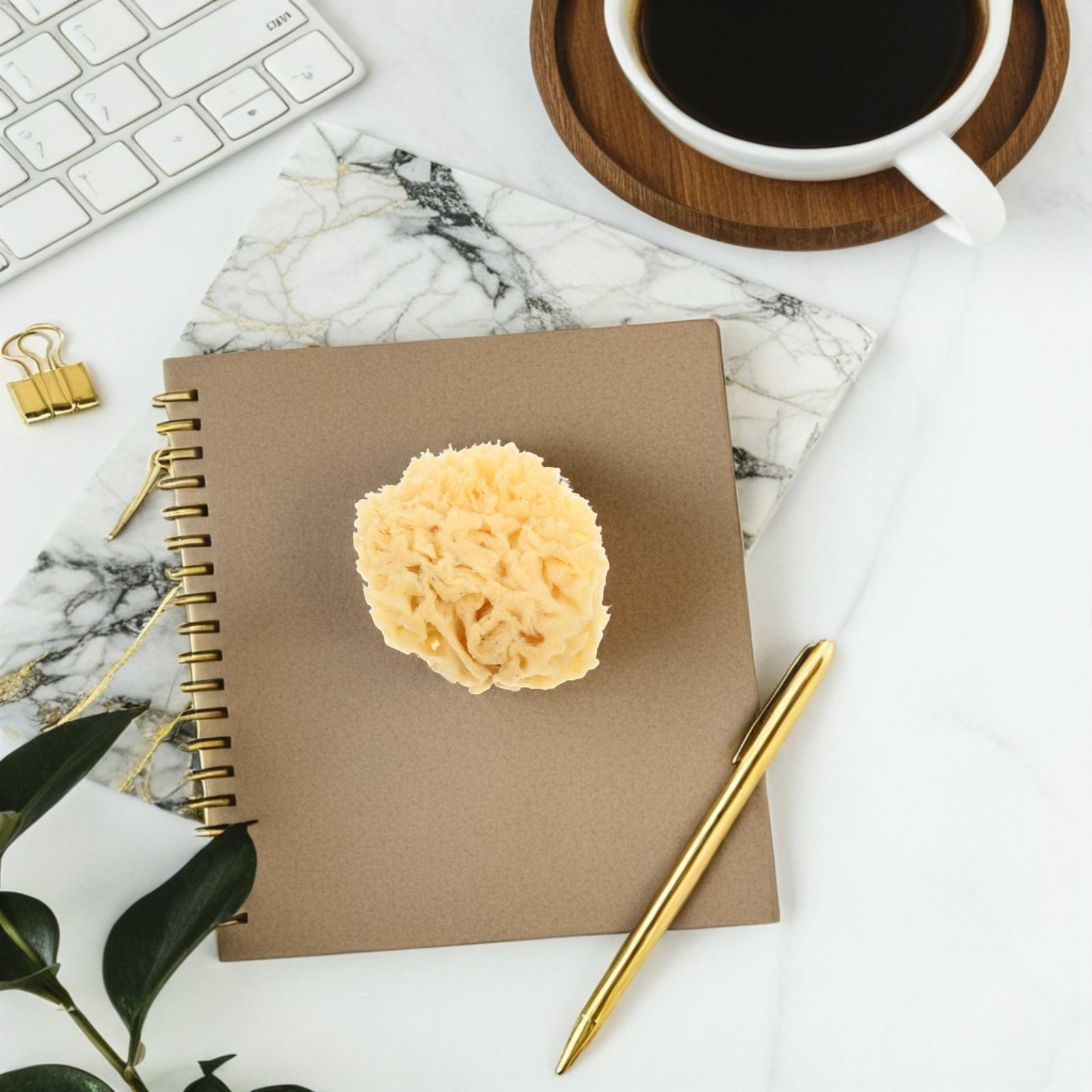 Natural Sea Sponge Soft 2.0-2. - огляд і ціна Art Craft Easy